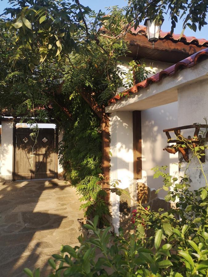 Namaste Къща В Село Камилски Дол Kamilski Dol Exteriör bild